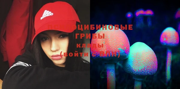 таблы Арсеньев