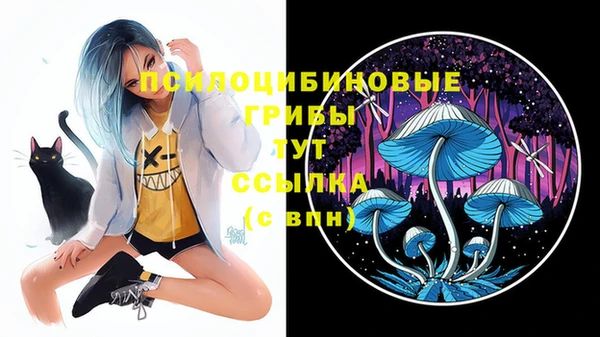 таблы Арсеньев