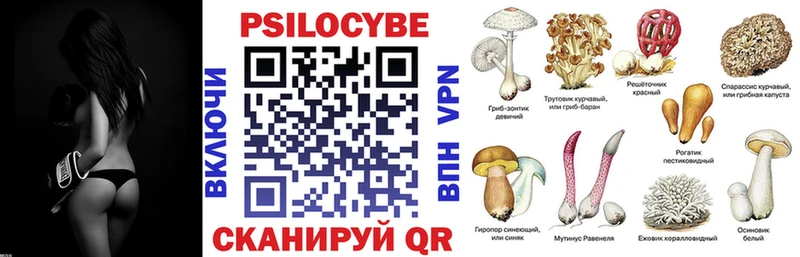 Псилоцибиновые грибы GOLDEN TEACHER  Макаров 